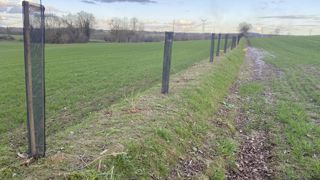Dans le cadre du PSE, les éleveurs peuvent être rémunérés pour leur participation à la reconstruction et à l'entretien du bocage. Dans le cadre du PSE, les éleveurs peuvent être rémunérés pour leur participation à la reconstruction et à l'entretien du bocage.