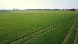 Le montant de l'aide à la production de blé dur est fixé à 52,55 € par hectare pour 2023. Le montant de l'aide à la production de blé dur est fixé à 52,55 € par hectare pour 2023.