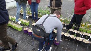 En marge de l’assemblée du 22 février, un atelier était organisé pour que les producteurs testent plusieurs équipements (deux exosquelettes) ou matériels (robots de distançage et fourche de transport de conteneurs) remarqués au dernier salon Sival.