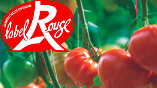 Trente-quatre variétés, dont sept dans le groupe « cœur », sont éligibles pour ce printemps au label rouge. Objectif : rassurer le consommateur avec des variétés productives et résistantes aux maladies. Trente-quatre variétés, dont sept dans le groupe « cœur », sont éligibles pour ce printemps au label rouge. Objectif : rassurer le consommateur avec des variétés productives et résistantes aux maladies.