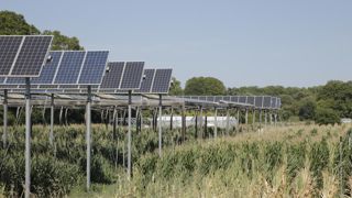 La publication du décret sur l'agrivoltaïsme pourrait être encore retardée par un nouveau cycle de consultations.