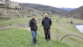 Brice et Gaël Martin produisent des oignons doux sur une cinquantaine de parcelles en terrasse. Entre deux cultures, ils sèment un engrais vert qui est pâturé par les brebis à la fin de l’hiver. Brice et Gaël Martin produisent des oignons doux sur une cinquantaine de parcelles en terrasse. Entre deux cultures, ils sèment un engrais vert qui est pâturé par les brebis à la fin de l’hiver.