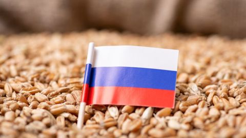 L'UE veut taxer les céréales russes pour « assécher » les revenus de Moscou 