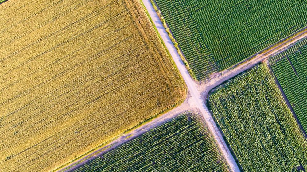Parcelles agricoles vue du ciel