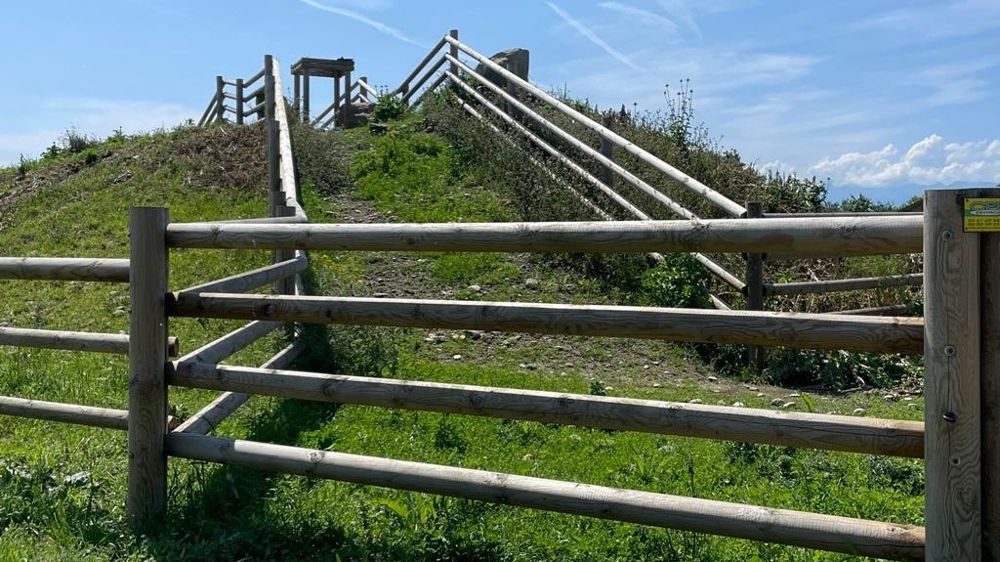 Parcours d'évaluation de la locomotion des bovins.