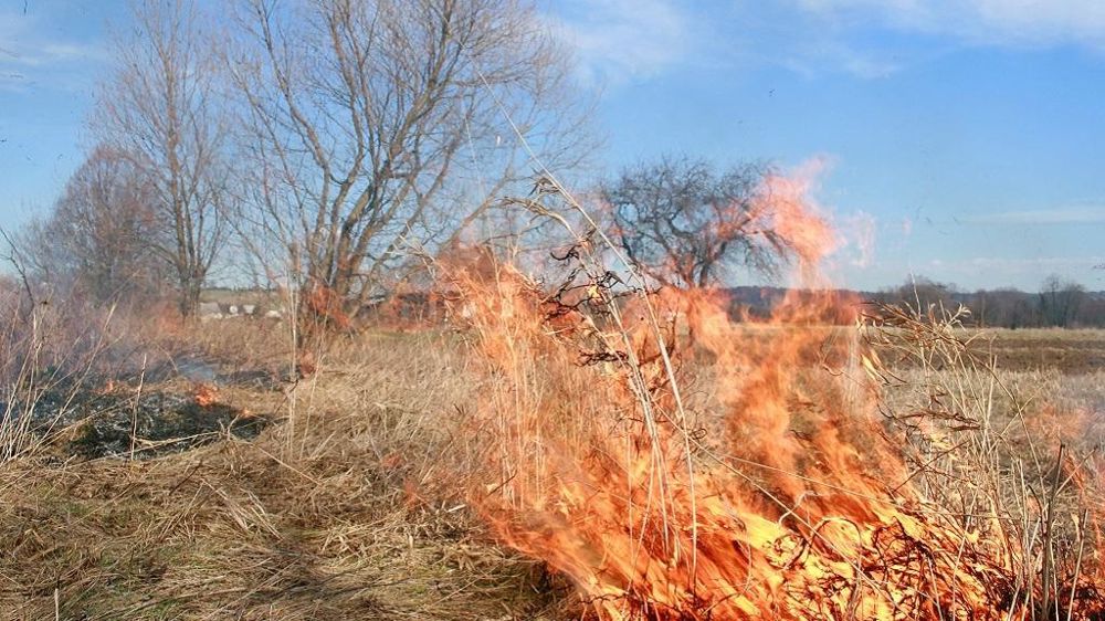 Incendie friches agricoles