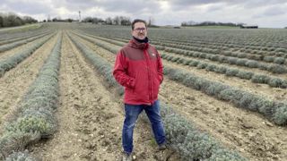 François Roisneau a planté 20 ha de lavandin en 2021 et 2022 et adhère à la Cuma Milly PPAM qui a investi dans une ensileuse pour récolter les 200 ha de la zone.