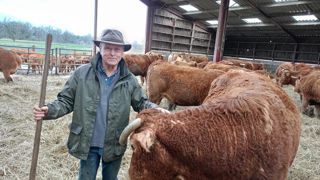 Jean-Denis Dubois est à la tête d’un cheptel limousin de 140 têtes dont 70 mères. Jean-Denis Dubois est à la tête d’un cheptel limousin de 140 têtes dont 70 mères.