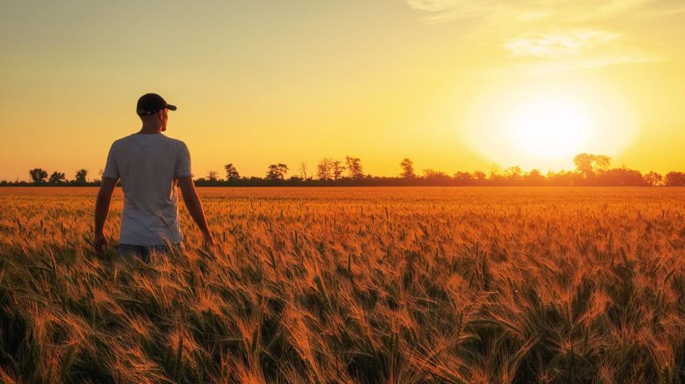 Homme qui regarde le ciel dans un champ