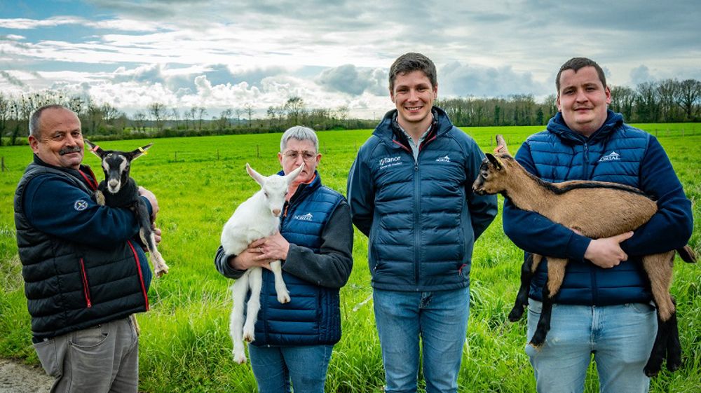 Chevrettes, chevreaux, à chacun son aliment pour une croissance optimisée