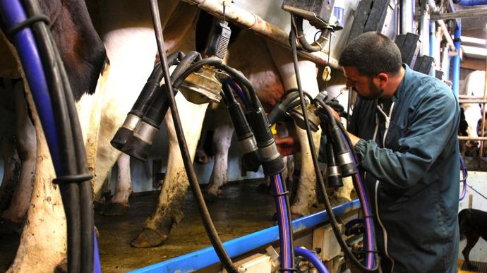 Sur les onze premières semaines de 2024, la collecte française est en légère hausse par rapport à début 2023.