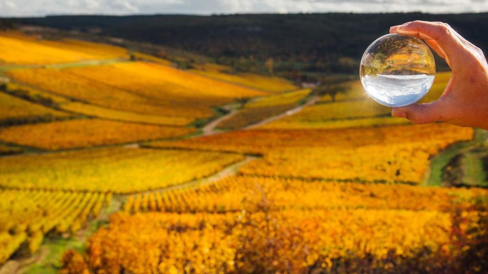Boule de cristal champs