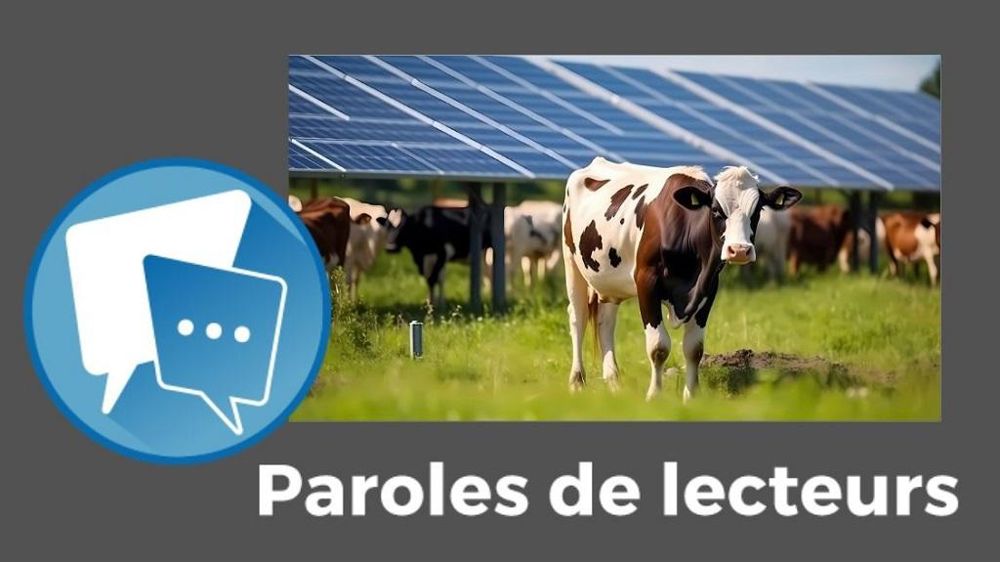 Paroles de lecteurs sur l'agrivoltaïsme