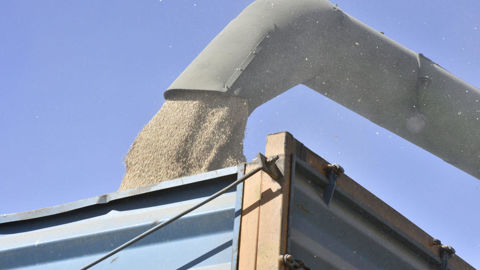 La Commission européenne établit des teneurs maximales pour la présence de toxines T-2 et HT-2 dans les denrées alimentaires. La Commission européenne établit des teneurs maximales pour la présence de toxines T-2 et HT-2 dans les denrées alimentaires.
