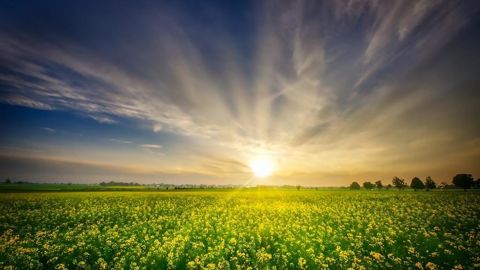 Après une grande douceur cette semaine, la semaine prochaine s'annonce plus fraîche. Après une grande douceur cette semaine, la semaine prochaine s'annonce plus fraîche.