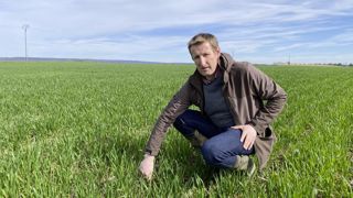 François-Xavier Martel sème ses blés en direct dans des couverts vivants, comme ses autres cultures d’automne (sauf le blé de betterave). Avant les cultures de printemps (betteraves et tournesols), une préparation superficielle est réalisée.