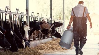 « Les cessations prévisibles (inhérentes à l'âge), nettement majoritaires, sont cependant moins problématiques que les 30 % de départs précoces et de départs d'associé(s) dans les Gaec qui arrêtent alors souvent le lait ». « Les cessations prévisibles (inhérentes à l'âge), nettement majoritaires, sont cependant moins problématiques que les 30 % de départs précoces et de départs d'associé(s) dans les Gaec qui arrêtent alors souvent le lait ».
