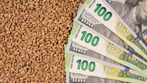 Les prix des céréales européennes soutenus par la fermeté du dollar