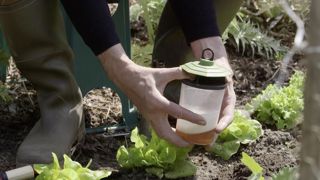 Le piège à limaces peut être utile au potager. Le piège à limaces peut être utile au potager.
