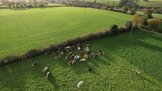 Dès 2024, l'Observatoire natioanl de pousse de l'herbe assurera le suivi de 350 fermes de référence. Dès 2024, l'Observatoire natioanl de pousse de l'herbe assurera le suivi de 350 fermes de référence.