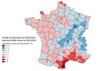 Température minimale sous abri annoncée en C pour la période du 18 au 25 avril 2024