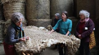 « Apprendre à trier la laine est fondamental, car sa valorisation en dépend », insiste Aline Robert, éleveuse (au centre), entourée de Catherine Apostolo de Enlainez-vous (à droite) et de Marie-Thérèse Chaupin de l’atelier Laines d’Europe. « Apprendre à trier la laine est fondamental, car sa valorisation en dépend », insiste Aline Robert, éleveuse (au centre), entourée de Catherine Apostolo de Enlainez-vous (à droite) et de Marie-Thérèse Chaupin de l’atelier Laines d’Europe.