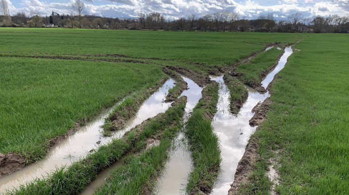 De nombreuses parcelles sont longtemps restées gorgées d'eau, comme ici le 18 mars en Indre-et-Loire.