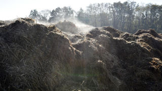 La Commission européenne propose d'autoriser, dans le cadre de la directive nitrates, l'épandage de matières fertilisantes issues du fumier dépassant la limite de 170 kgN/ha/an. La Commission européenne propose d'autoriser, dans le cadre de la directive nitrates, l'épandage de matières fertilisantes issues du fumier dépassant la limite de 170 kgN/ha/an.