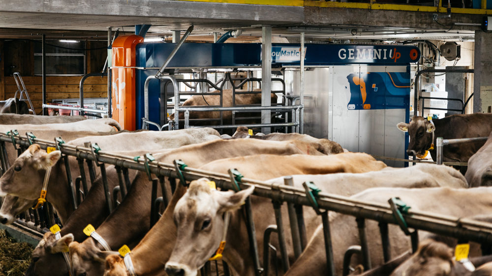 Les robots, auxiliaires indispensables de la jeune génération d’agriculteurs
