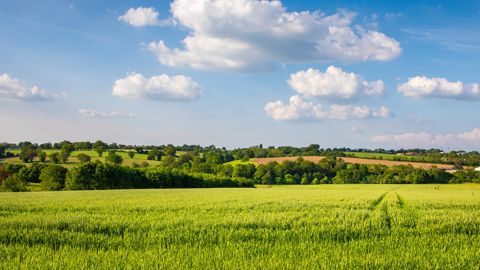 Une partie des critères verts de la Pac ont été assouplis. 