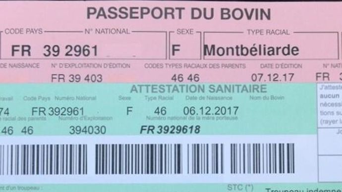 Le gouvernement veut avancer sur la dématérialisation du passeport des bovins.