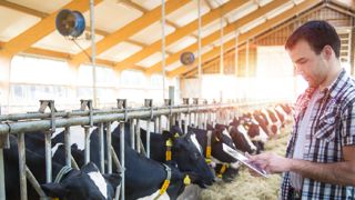 Les capteurs efficaces dans la lutte contre le stress thermique