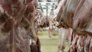 L’indice des prix de la viande de la FAO a progressé de 1,6 % entre mars et avril 2024. L’indice des prix de la viande de la FAO a progressé de 1,6 % entre mars et avril 2024.
