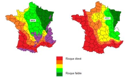 Niveau actuel du risque rouille par rapport à 2012.
