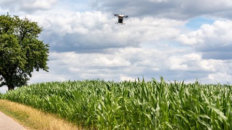Le Grand défi devrait accélérer le déploiement des biosolutions Le Grand défi devrait accélérer le déploiement des biosolutions