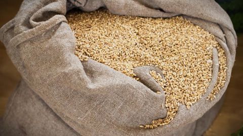 Sur une année, les prix des céréales augmentent en moyenne de 40 % dans les pays du Sahel entre les phases de récolte et les moments où les stocks de l'année précédente viennent à manquer Sur une année, les prix des céréales augmentent en moyenne de 40 % dans les pays du Sahel entre les phases de récolte et les moments où les stocks de l'année précédente viennent à manquer