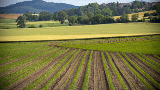 Les agriculteurs porteurs du projet de deux retenues d’eau en Limagne, défendent un besoin en eau vital pour leurs exploitations face aux sécheresses estivales récurrentes. Les agriculteurs porteurs du projet de deux retenues d’eau en Limagne, défendent un besoin en eau vital pour leurs exploitations face aux sécheresses estivales récurrentes.