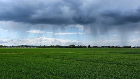 Des pluies favorables sont annoncées dans le sud de la Russie.