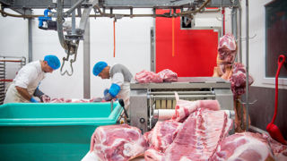 Après être resté stable sur les deux premiers mois de l’année, le marché des pièces de découpe ne s’est que sensiblement redressé en mars et avril. Après être resté stable sur les deux premiers mois de l’année, le marché des pièces de découpe ne s’est que sensiblement redressé en mars et avril.