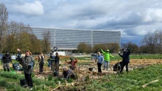 Pour la septième année consécutive, l’association Genève cultive propose de découvrir les nombreux projets «verts» urbains et périurbains de l'agglomération suisse. Pour la septième année consécutive, l’association Genève cultive propose de découvrir les nombreux projets «verts» urbains et périurbains de l'agglomération suisse.
