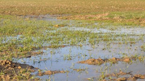 Les parcelles gorgées d’eau ne permettent pas aux engins d’accéder aux chantiers dans des conditions respectueuses des sols. Les parcelles gorgées d’eau ne permettent pas aux engins d’accéder aux chantiers dans des conditions respectueuses des sols.