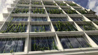 Réunie en assemblée générale le 16 mai 2024, l’Adivet, qui regroupe les professionnels de la végétalisation des toitures et des murs, a acté l’extension de ses prérogatives d’activité, qui vont désormais jusqu’à l’infrastructure des bâtiments…