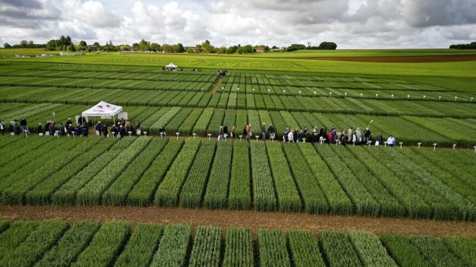 Les adhérents d'Océalia ont pu déambuler autour des parcelles d’essais et de quatre ateliers (variétés de céréales, colza robuste, mélange céréales et protéagineux, biostimulation des cultures) lors la première édition de la plateforme Sillon Responsable, jeudi 16 mai à Saint-Ciers-sur-Bonnieure (Charente).
