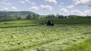 « Une des règles de base est de bien exploiter les ressources fourragères présentes », explique Christophe Chabalier, ingénieur à la chambre d’agriculture du Cantal. « Une des règles de base est de bien exploiter les ressources fourragères présentes », explique Christophe Chabalier, ingénieur à la chambre d’agriculture du Cantal.