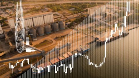 Vers 13h00 ce mercredi 22 mai, le blé Euronext à échéance septembre 2024 grimpait de 7 €/t, à 264 €/t Vers 13h00 ce mercredi 22 mai, le blé Euronext à échéance septembre 2024 grimpait de 7 €/t, à 264 €/t