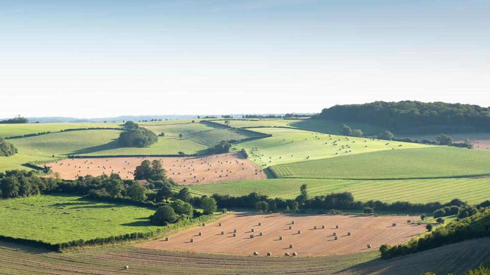 Parcelles agricoles