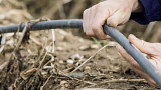 Seules les installations en goutte à goutte sont concernées par ce nouveau guichet d'aides à l'adaptation au changement climatique. Seules les installations en goutte à goutte sont concernées par ce nouveau guichet d'aides à l'adaptation au changement climatique.