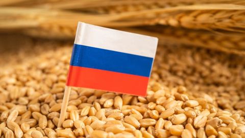 Bien que fournisseur modeste de céréales pour l'UE, la Russie « est l'un des principaux producteurs et exportateurs mondiaux, et est en capacité de réorienter d'importants volumes vers l'UE pour en perturber le marché », fait valoir le Conseil européen.