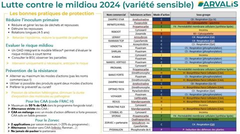 Les bonnes pratiques de protection contre le mildiou pour la campagne à venir