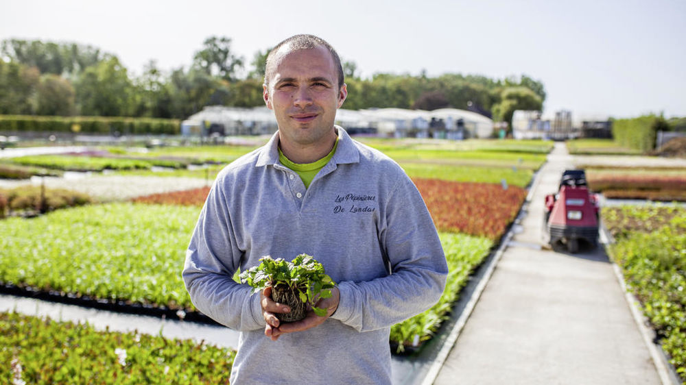 Vincent Rosiers, producteur de vivaces dans le département du Nord, se réjouit d’avoir pu fournir plus de 50 000 plantes pour les différents sites olympiques.